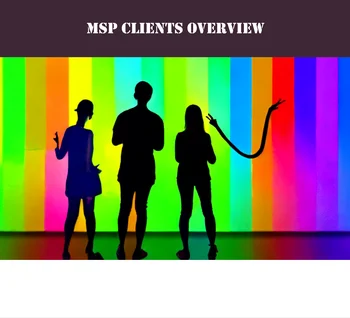 Overview Of MSP Client Topics
